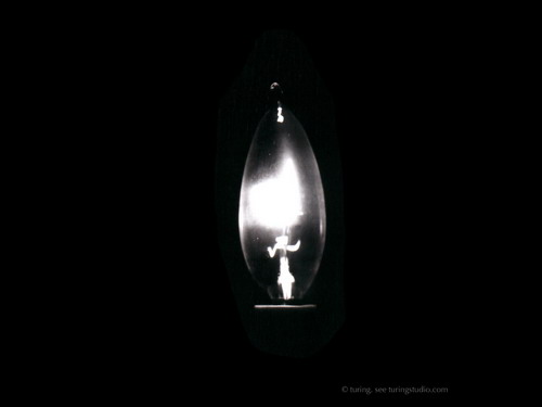 Обои с красивой природой