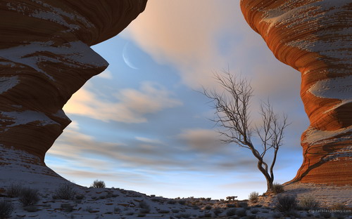 Обои на разные темы