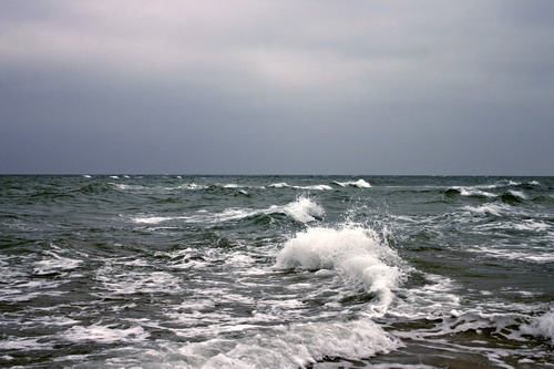 Обои на разные темы