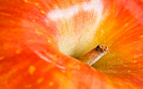 Всякие разные обои