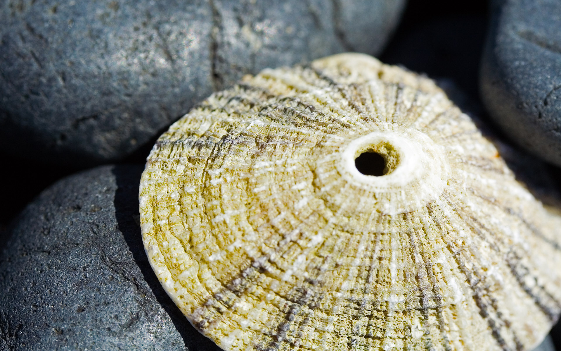 Всякие разные обои