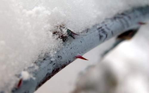 Всякие разные обои