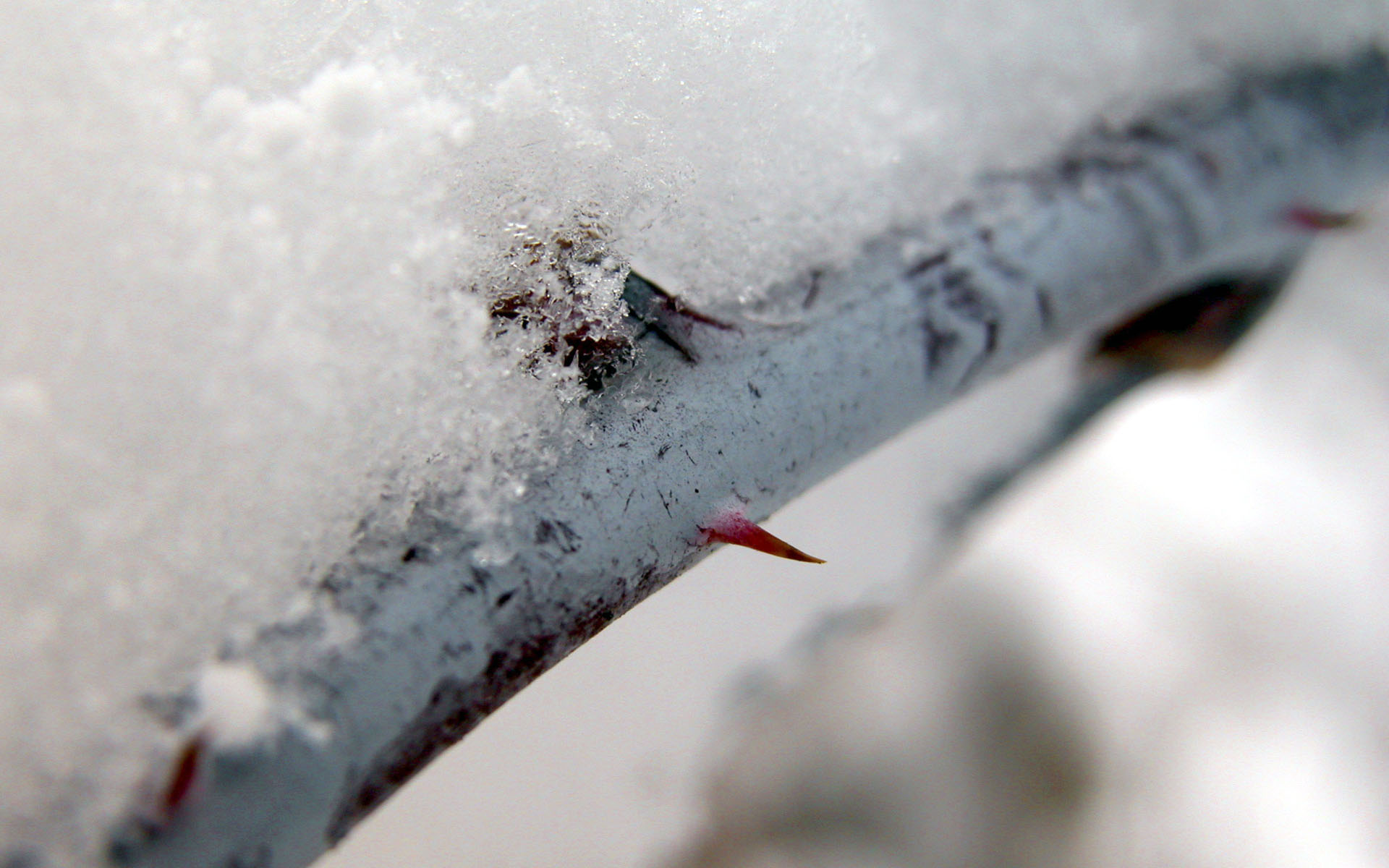 Всякие разные обои