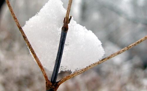 Всякие разные обои