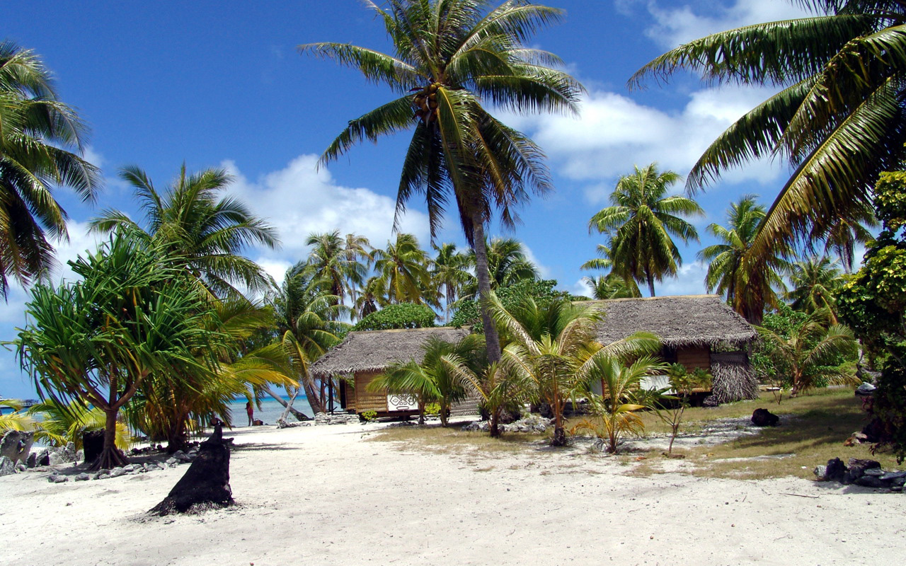 Широкоформатные