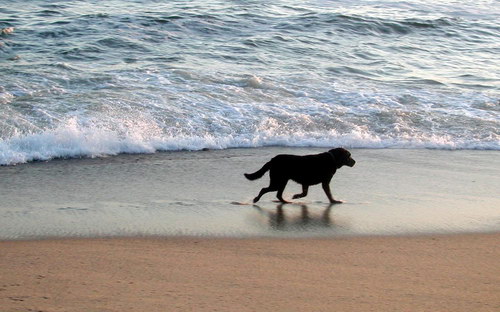 Широкоформатные