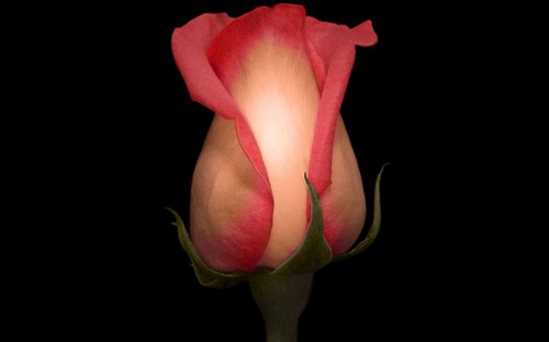 Широкоформатные