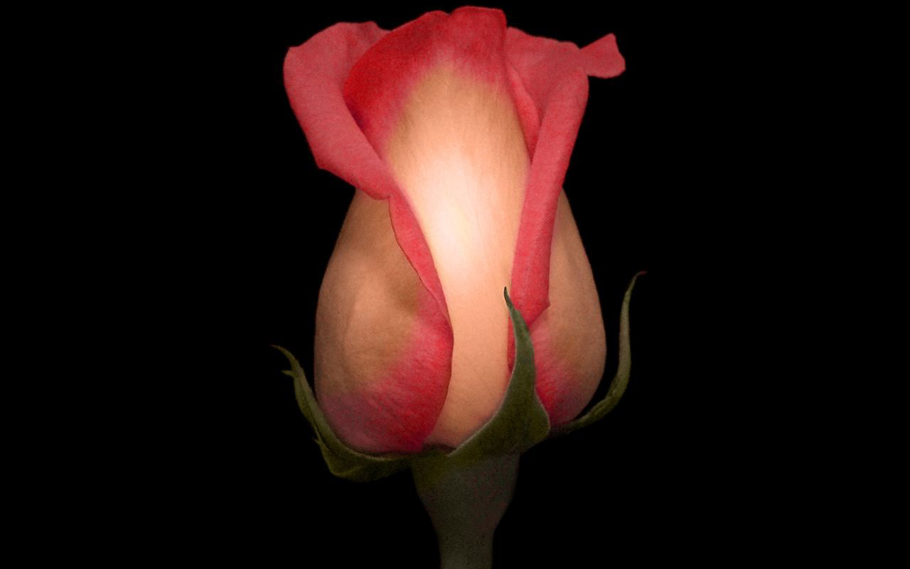 Широкоформатные