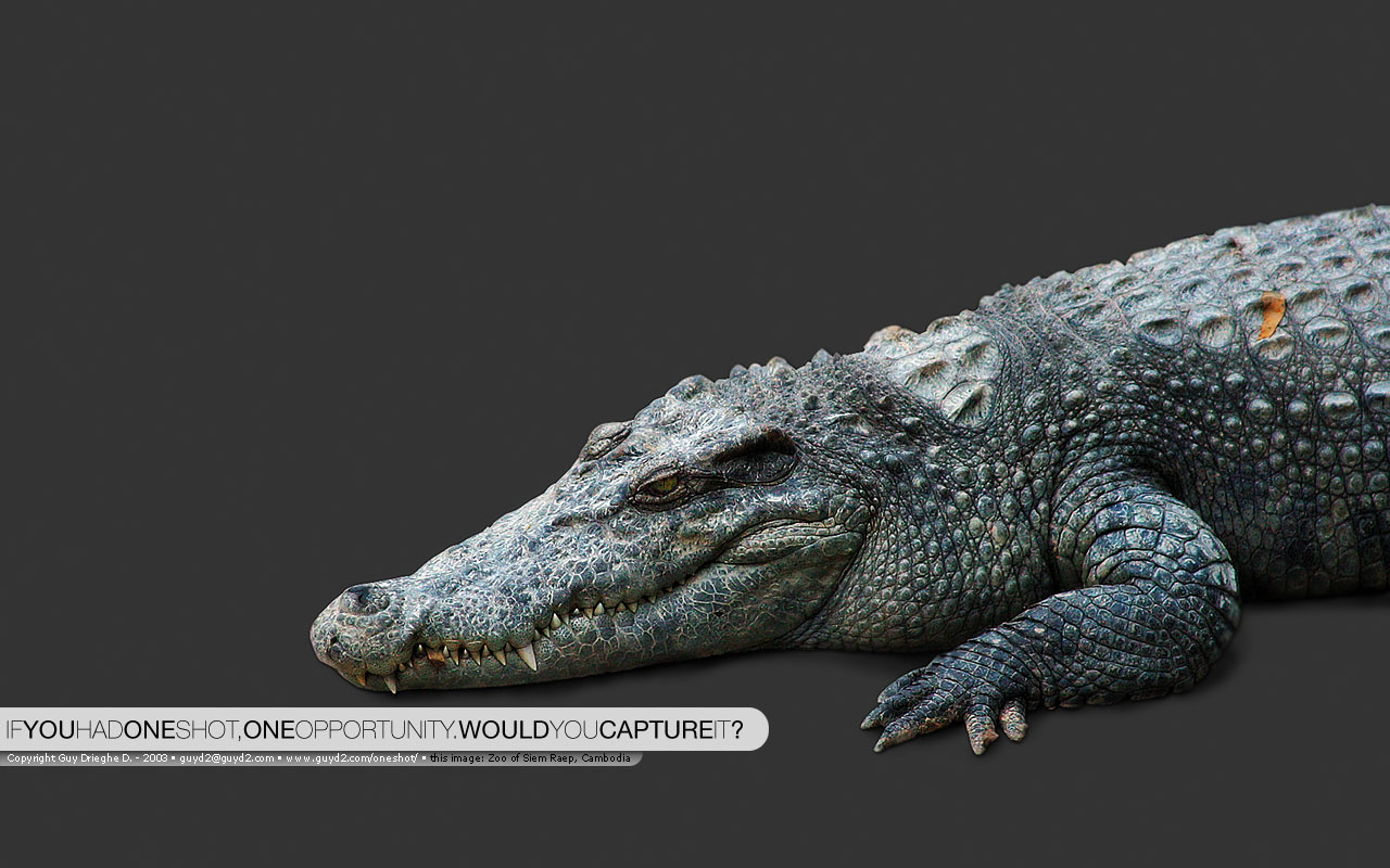 Широкоформатные