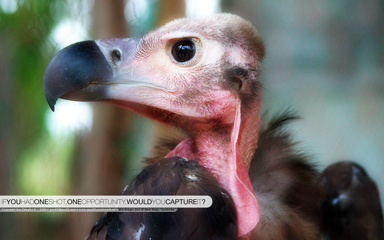 Широкоформатные