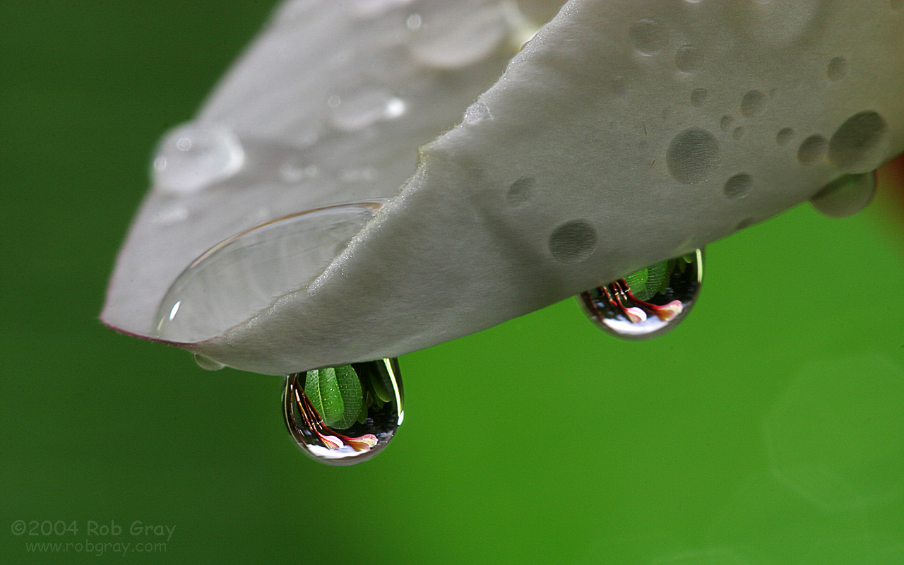 Широкоформатные