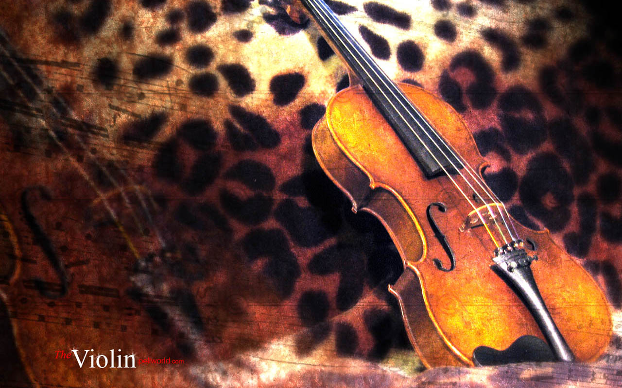 Широкоформатные