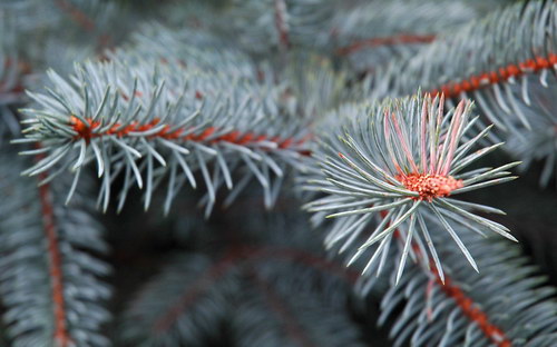 Широкоформатные