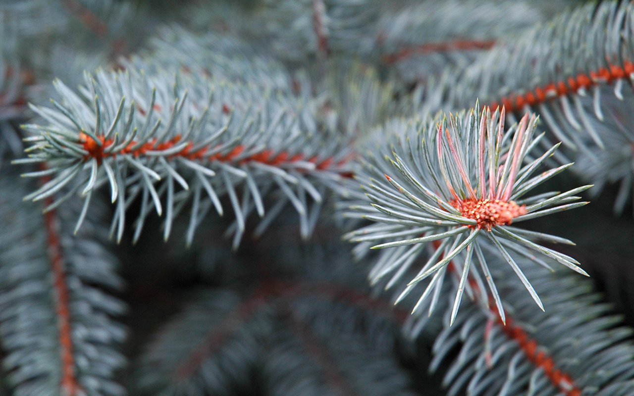 Широкоформатные