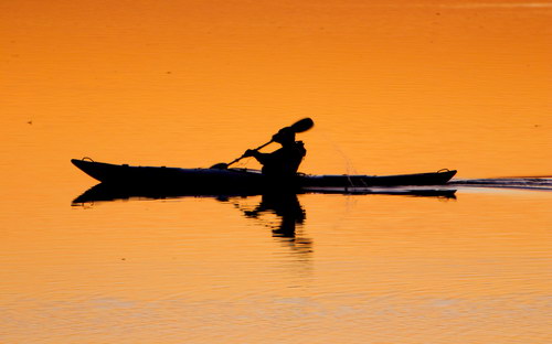 Широкоформатные обои